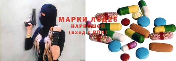 ПСИЛОЦИБИНОВЫЕ ГРИБЫ Приозерск