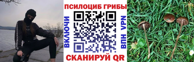 Псилоцибиновые грибы Cubensis  где купить наркотик  blacksprut как войти  Ступино 