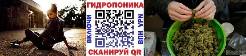 OMG ссылки  Ступино  Каннабис индика 